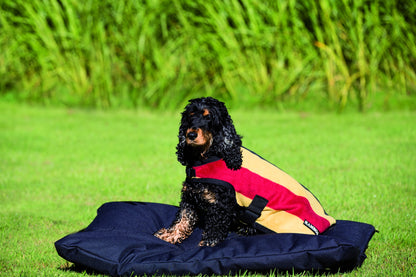 5-855818-whitneygold.jpg