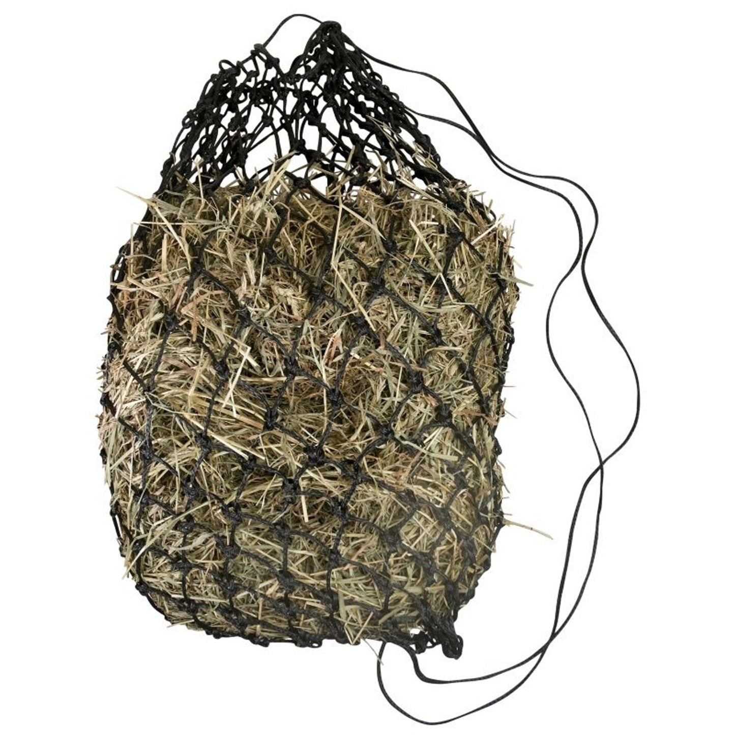 TE027886_P.jpg
