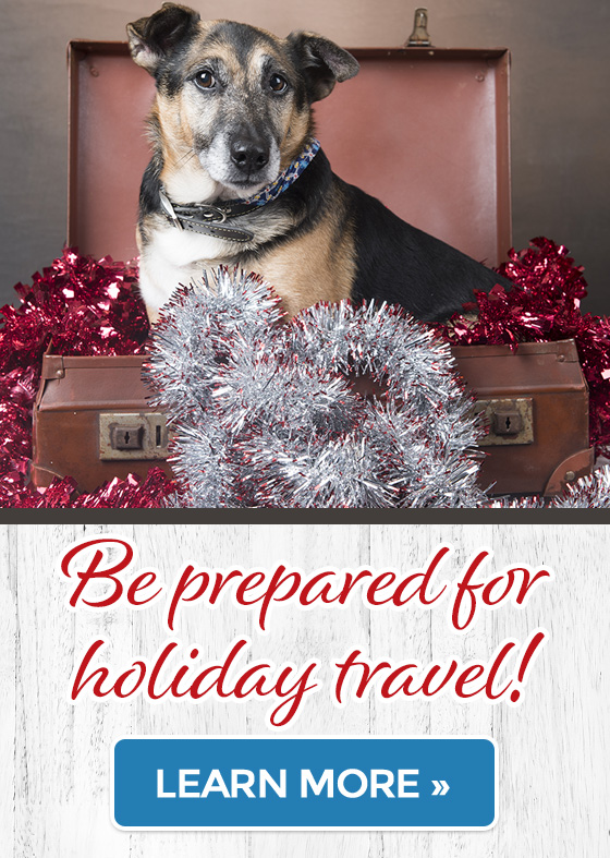 Be prepared for holiday travel!