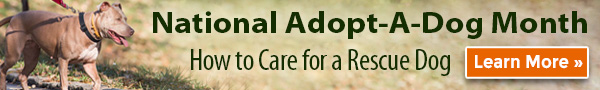 National Adopt-A-Dog Month