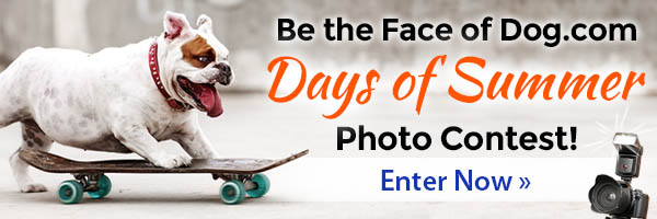 Be the Face of Dog.com's Days of Summer Photo Contest! Enter Now »