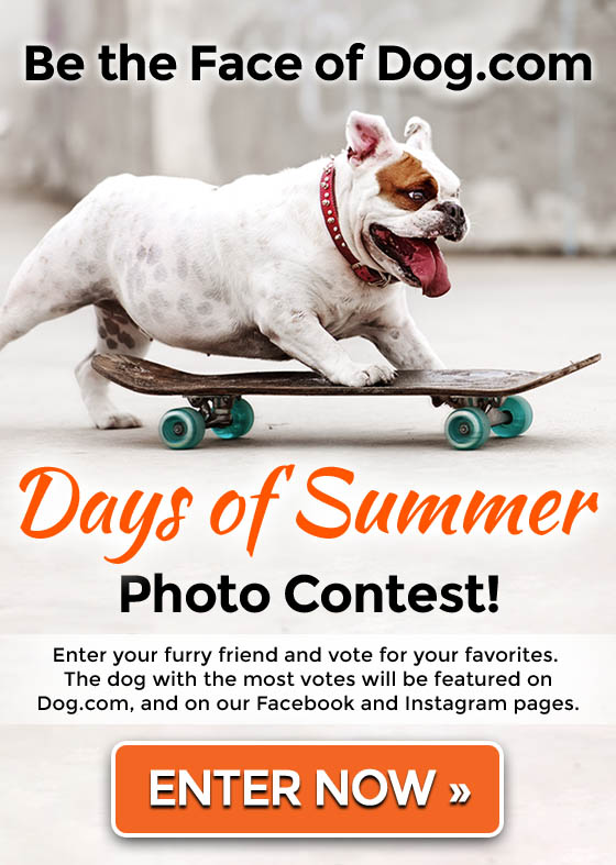 Be the Face of Dog.com's Days of Summer Photo Contest! Enter Now »