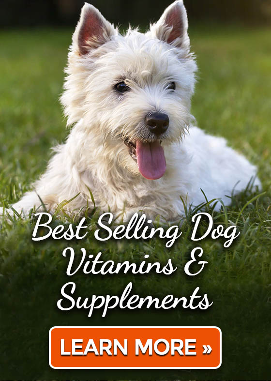 Best Selling Dog Vitamins & Supplements