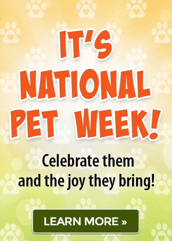 It’s National Pet Week! Celebrate them and the joy they bring!